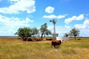 Texas Windmill Installation