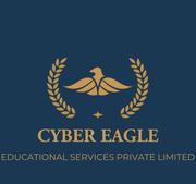 CISSP Training,  Online certification course |Cybereagle